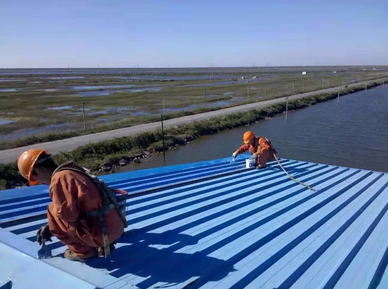 宁河彩钢瓦屋面防腐翻新